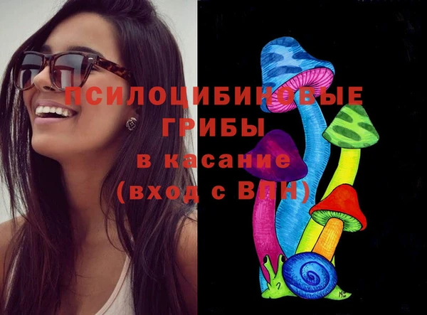 герыч Арсеньев