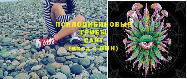 герыч Арсеньев