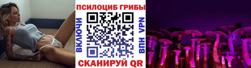 где можно купить   Куйбышев  Галлюциногенные грибы Cubensis 